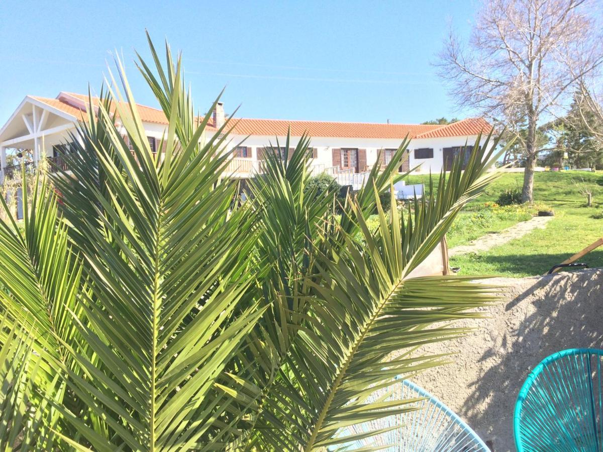 Elemental Ericeira Bed and Breakfast Εξωτερικό φωτογραφία