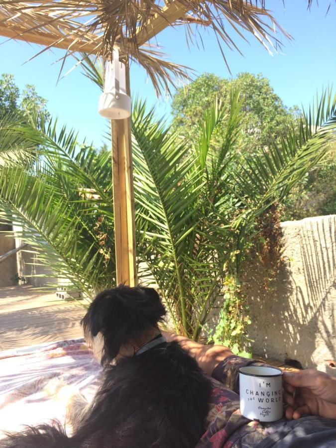 Elemental Ericeira Bed and Breakfast Εξωτερικό φωτογραφία