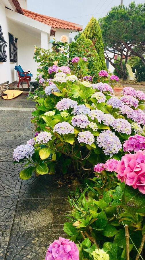 Elemental Ericeira Bed and Breakfast Εξωτερικό φωτογραφία